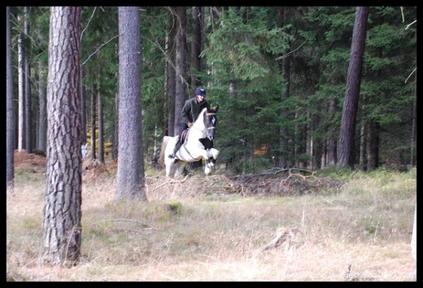 Hubertova jízda 2008