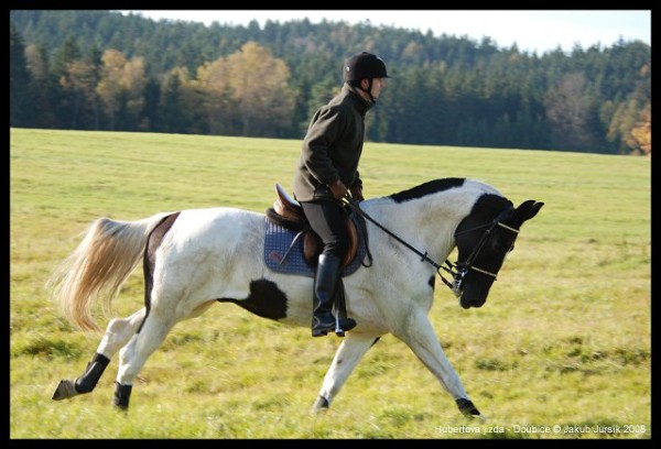 Hubertova jízda 2008